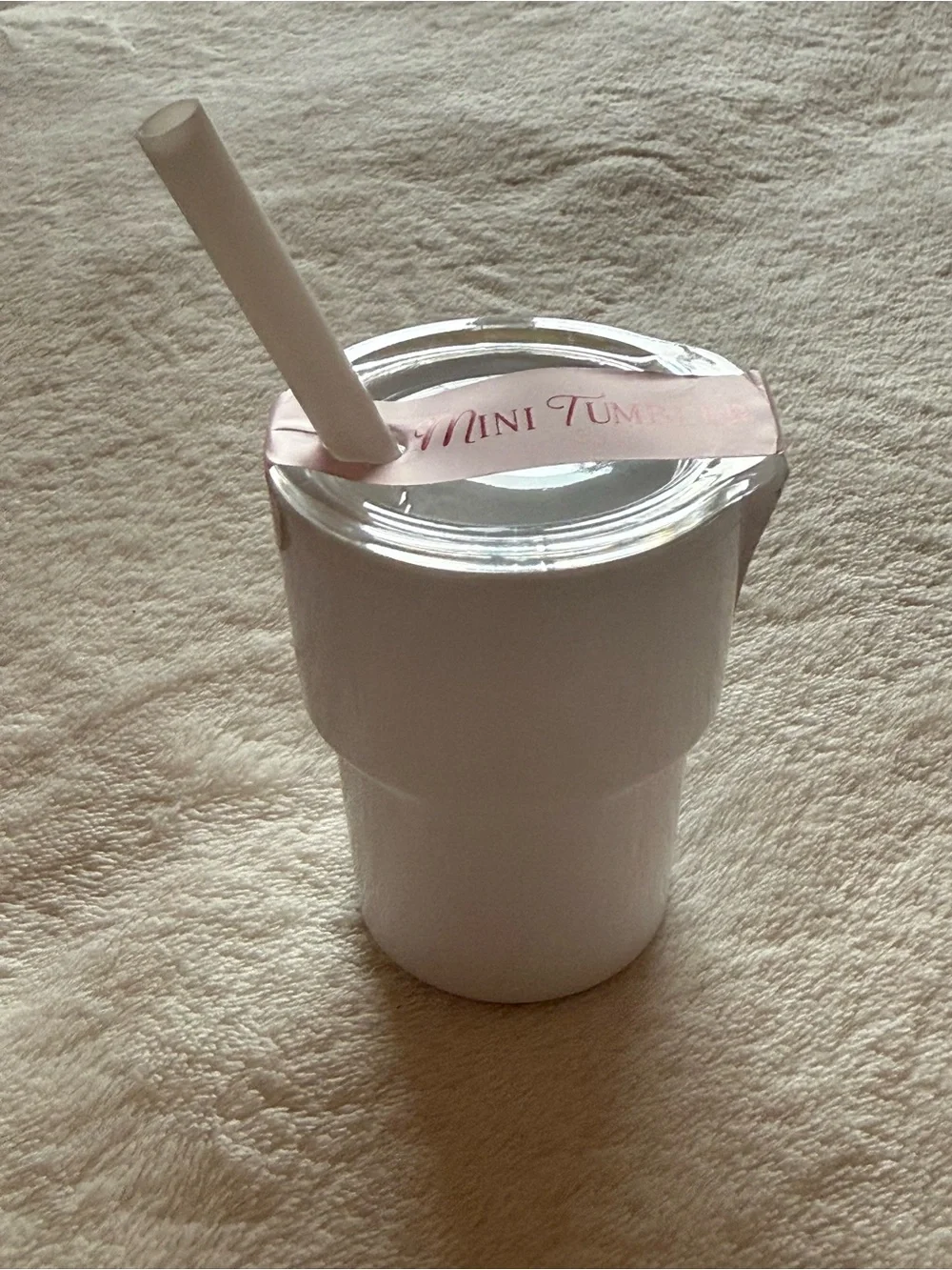 Mini Tumbler/container